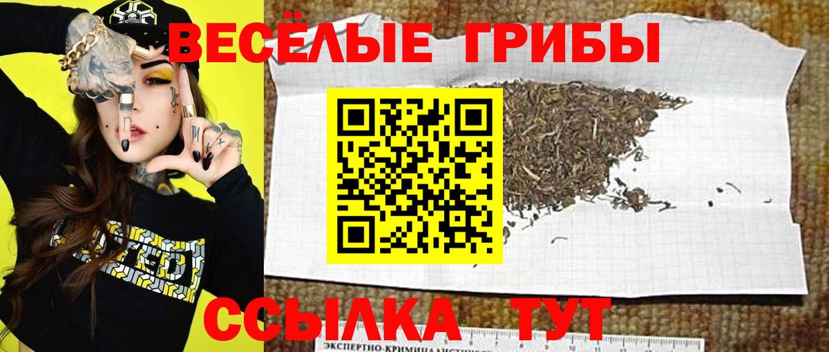 Галлюциногенные грибы прущие грибы  Вход с VPN  цена   Севастополь  Псилоцибиновые грибы мухоморы 